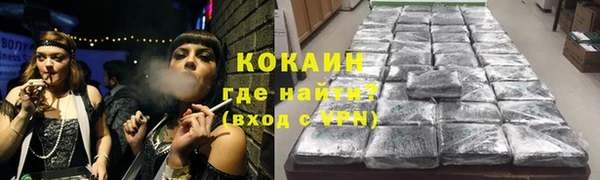 хмурый Алзамай