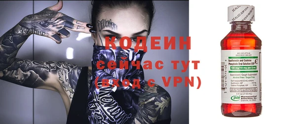 хмурый Алзамай