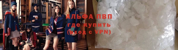 хмурый Алзамай