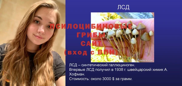 хмурый Алзамай