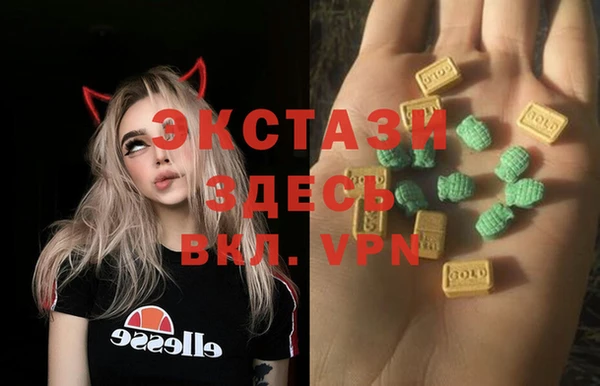 хмурый Алзамай