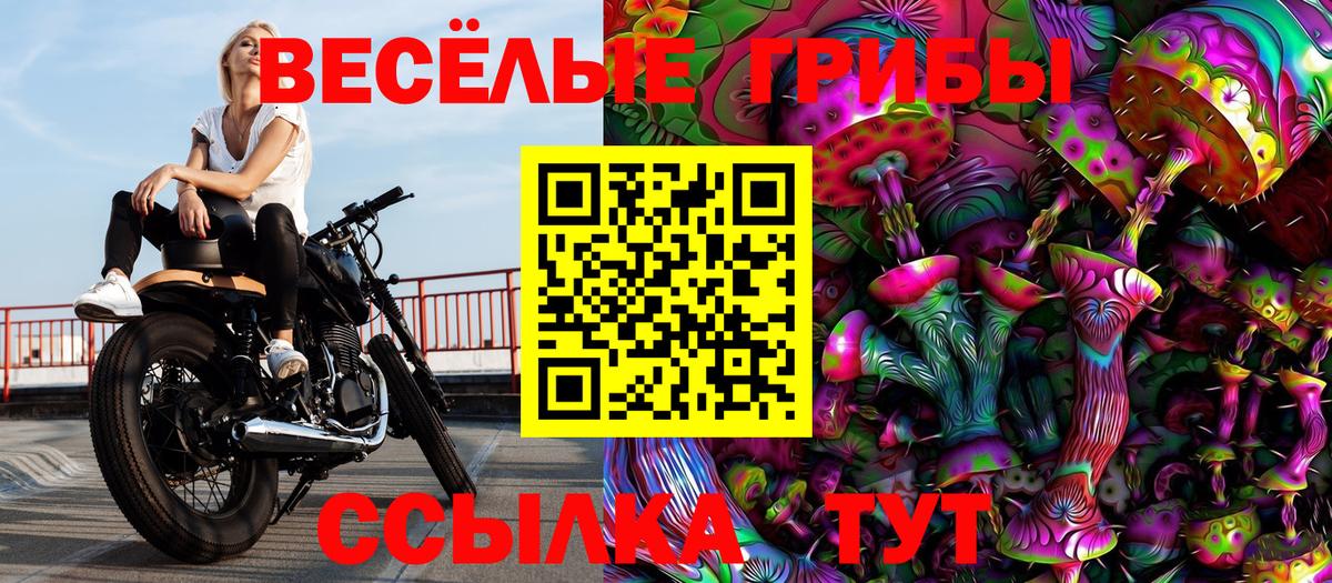 где найти наркотики  Галлюциногенные грибы Magic Shrooms  Вход с VPN  Псилоцибиновые грибы мухоморы  Апатиты 